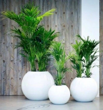 living-room-decor-planter